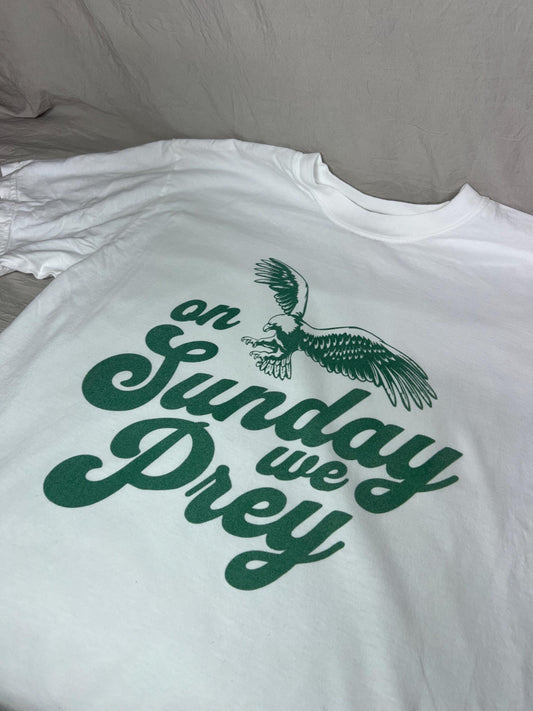 Philadelphia Eagles On Sunday We Prey T-Shirt